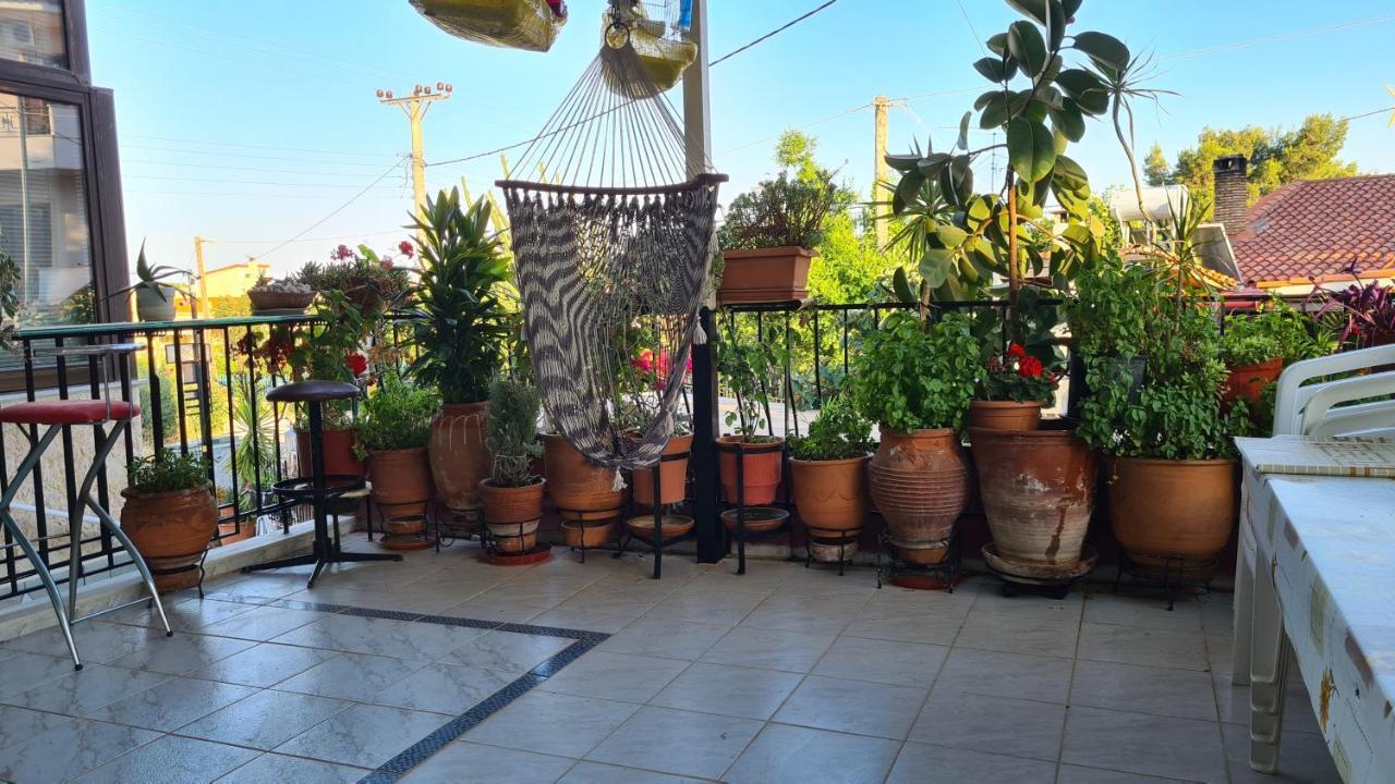 Néa Mákri Villa George - Family Holidays מראה חיצוני תמונה