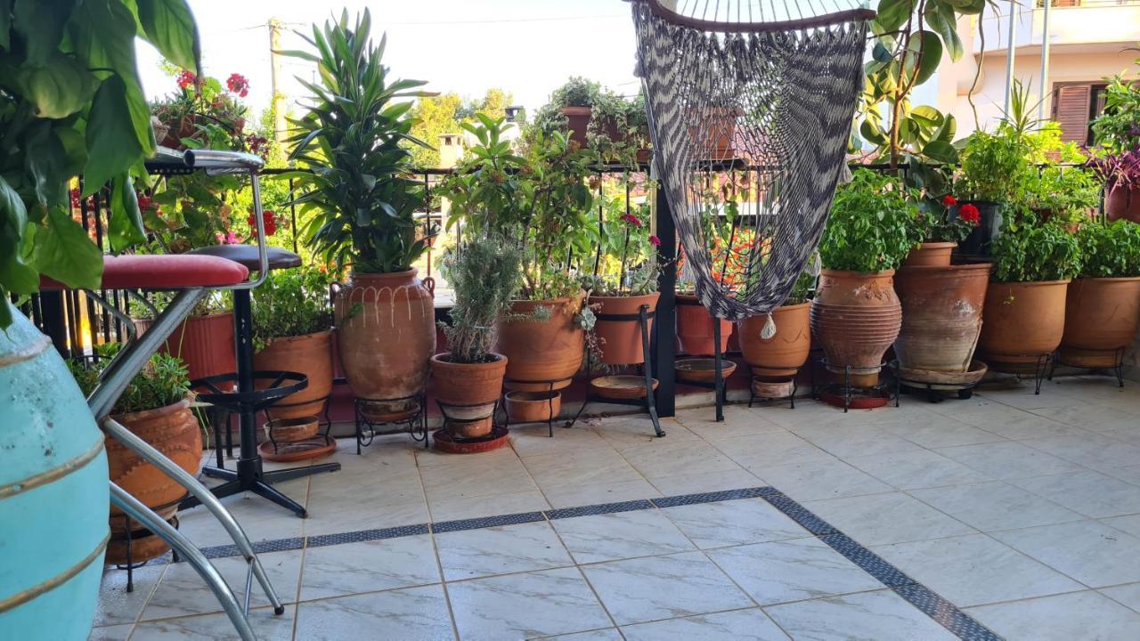Néa Mákri Villa George - Family Holidays מראה חיצוני תמונה