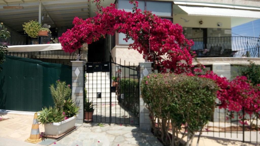 Néa Mákri Villa George - Family Holidays מראה חיצוני תמונה