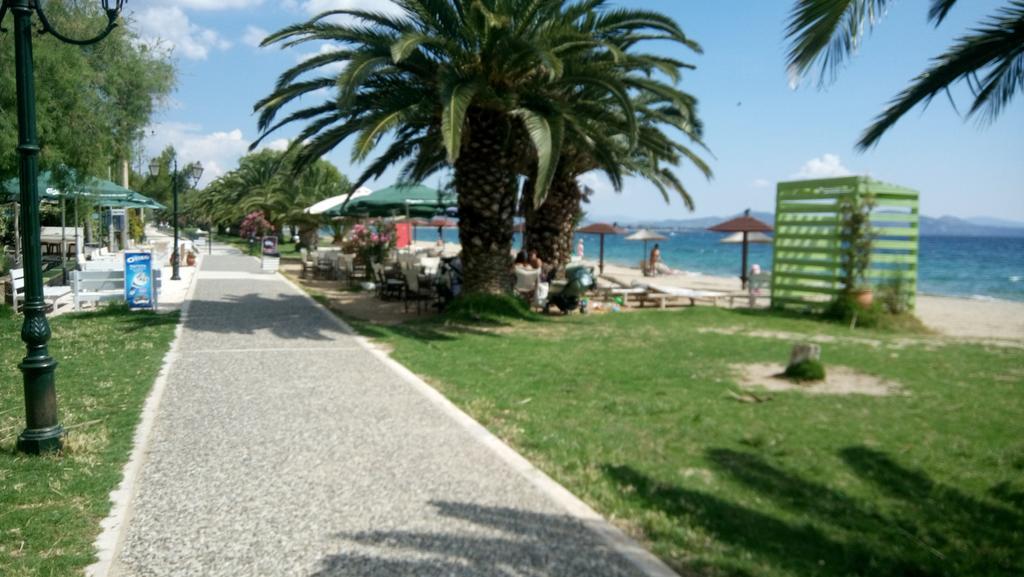 Néa Mákri Villa George - Family Holidays מראה חיצוני תמונה