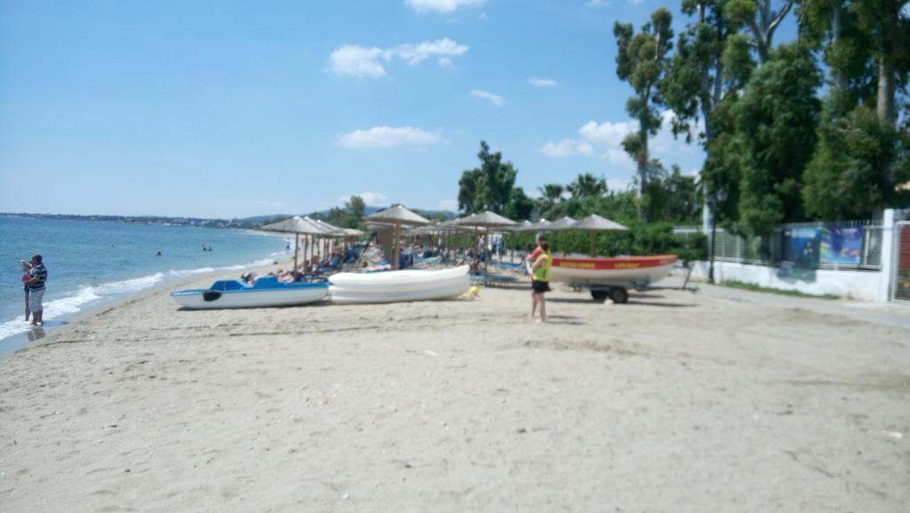 Néa Mákri Villa George - Family Holidays מראה חיצוני תמונה